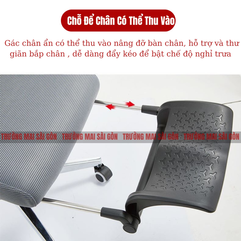 Ghế Công Thái Học Điều Chỉnh - GX36