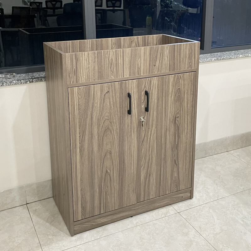 Tủ Văn Phòng Dạng Lửng Hiện Đại - THS149