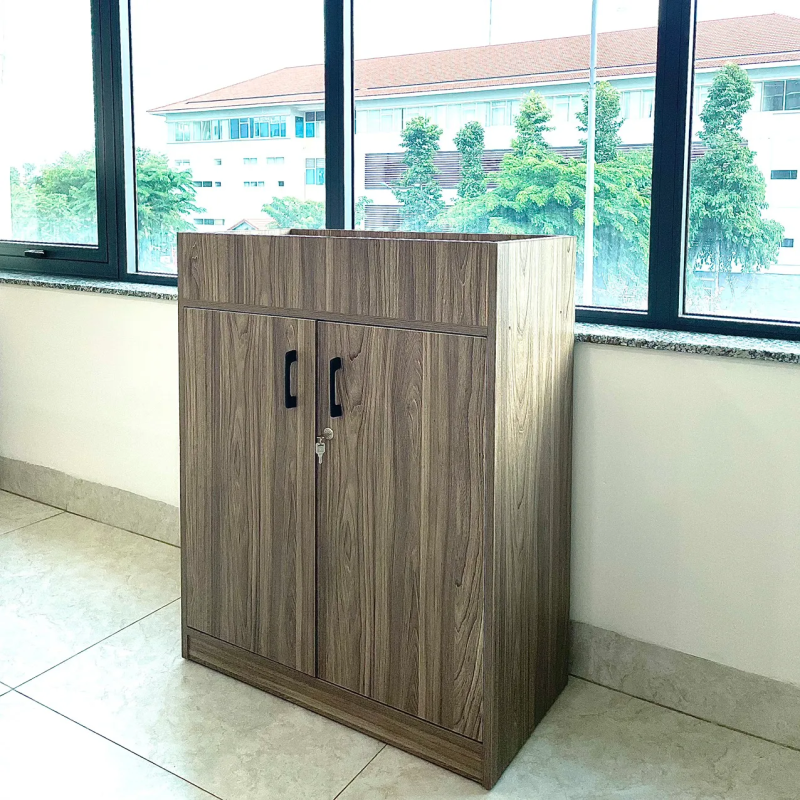 Tủ Văn Phòng Dạng Lửng Hiện Đại - THS149