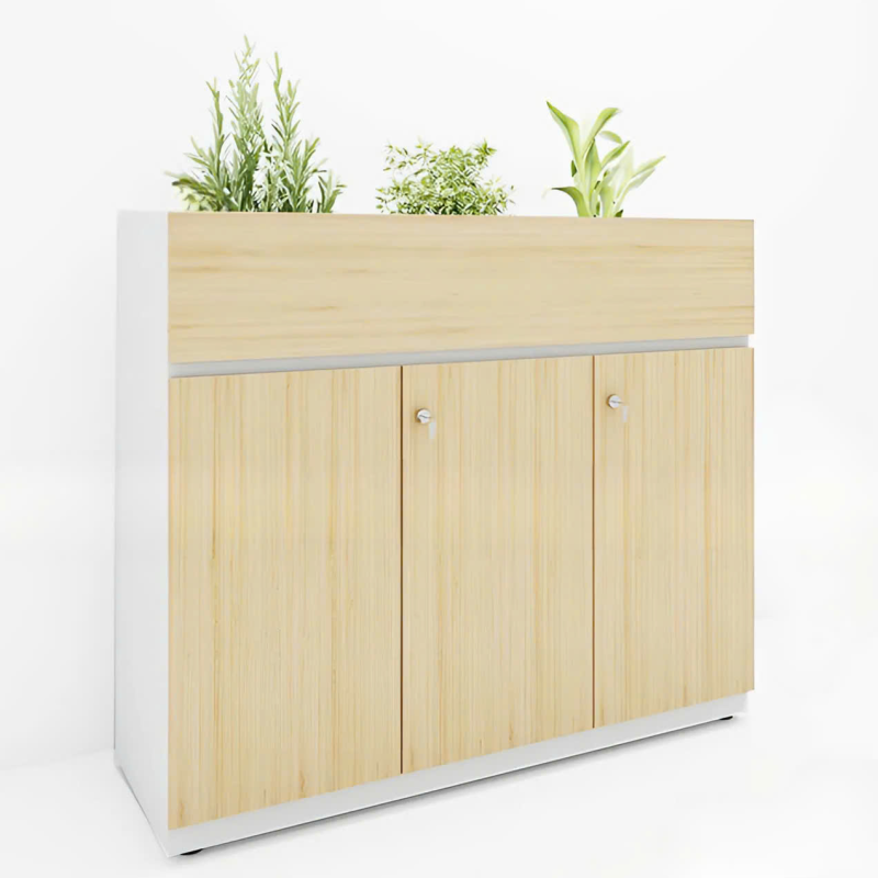 Tủ Tài Liệu Gỗ Văn Phòng Đẹp - THS158